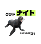 南知多ビーチランドスタンプ（個別スタンプ：3）