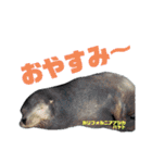 南知多ビーチランドスタンプ（個別スタンプ：4）