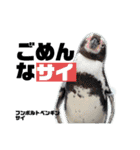 南知多ビーチランドスタンプ（個別スタンプ：9）