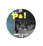 南知多ビーチランドスタンプ（個別スタンプ：13）