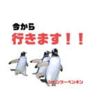 南知多ビーチランドスタンプ（個別スタンプ：14）