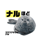 南知多ビーチランドスタンプ（個別スタンプ：19）