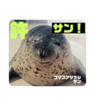南知多ビーチランドスタンプ（個別スタンプ：21）