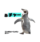 南知多ビーチランドスタンプ（個別スタンプ：22）