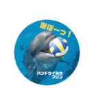 南知多ビーチランドスタンプ（個別スタンプ：23）