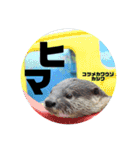 南知多ビーチランドスタンプ（個別スタンプ：25）