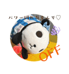 パンコちゃんの三河弁スタンプだもんで！！（個別スタンプ：14）