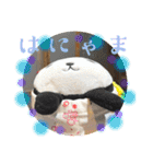パンコちゃんの三河弁スタンプだもんで！！（個別スタンプ：15）