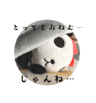 パンコちゃんの三河弁スタンプだもんで！！（個別スタンプ：17）
