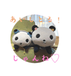パンコちゃんの三河弁スタンプだもんで！！（個別スタンプ：23）