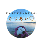 パンコちゃんの三河弁スタンプだもんで！！（個別スタンプ：24）
