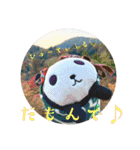 パンコちゃんの三河弁スタンプだもんで！！（個別スタンプ：38）