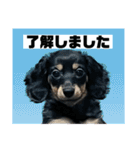 カニンヘンダックスフンドのカヌレです（個別スタンプ：1）