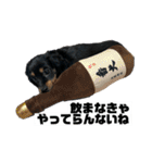カニンヘンダックスフンドのカヌレです（個別スタンプ：11）
