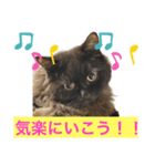 黒猫 ルナ院長69にゃんめ（個別スタンプ：4）