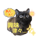 黒猫 ルナ院長69にゃんめ（個別スタンプ：5）