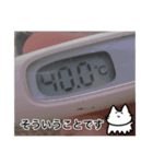 あしねこちゃん2（個別スタンプ：23）