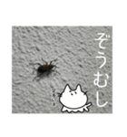 あしねこちゃん2（個別スタンプ：24）