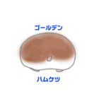 ハムスター好き。（個別スタンプ：24）