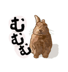 うさぎの「ピカちゃん」と ゆかいなお友達（個別スタンプ：2）