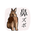 うさぎの「ピカちゃん」と ゆかいなお友達（個別スタンプ：3）