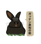 うさぎの「ピカちゃん」と ゆかいなお友達（個別スタンプ：6）