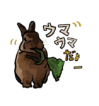 うさぎの「ピカちゃん」と ゆかいなお友達（個別スタンプ：9）