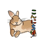 うさぎの「ピカちゃん」と ゆかいなお友達（個別スタンプ：14）