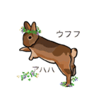 うさぎの「ピカちゃん」と ゆかいなお友達（個別スタンプ：15）