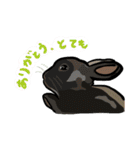 うさぎの「ピカちゃん」と ゆかいなお友達（個別スタンプ：18）