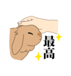 うさぎのめぇさんの日常会話スタンプ5（個別スタンプ：28）