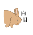 うさぎのめぇさんの日常会話スタンプ5（個別スタンプ：40）