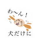 みみわんこスタンプ（個別スタンプ：24）