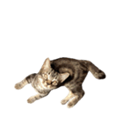 ルイ(文字なし)（個別スタンプ：3）
