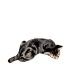 ルイ(文字なし)（個別スタンプ：8）