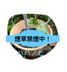 月山線スタンプ句順詩ハハノヒ胡瓜壱（個別スタンプ：7）