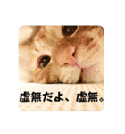 なつめ The orange tabby 3（個別スタンプ：11）