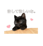 ぐぅタンプ（個別スタンプ：9）