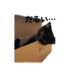 ぐぅタンプ（個別スタンプ：13）