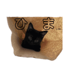 ぐぅタンプ（個別スタンプ：19）