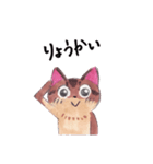 アビシニアンのcocoaちゃんver2.0（個別スタンプ：2）