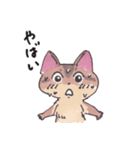 アビシニアンのcocoaちゃんver2.0（個別スタンプ：14）