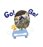 ★レオスタンプ★（個別スタンプ：7）