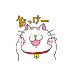 眼力強めのしろねこ（個別スタンプ：5）