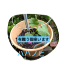 月山線スタンプ句順号ハハノヒ胡瓜ni（個別スタンプ：2）