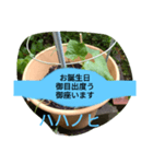月山線スタンプ句順号ハハノヒ胡瓜ni（個別スタンプ：4）