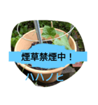 月山線スタンプ句順号ハハノヒ胡瓜ni（個別スタンプ：6）