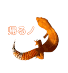 母さんちのレオパ（個別スタンプ：5）