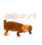 母さんちのレオパ（個別スタンプ：15）