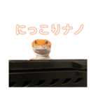母さんちのレオパ（個別スタンプ：22）